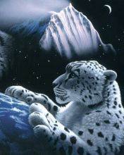 pic for Fantasy Snow leopard